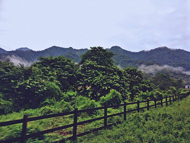 Siliguri Travel Guide 2026 – Complete Visitor Handbook